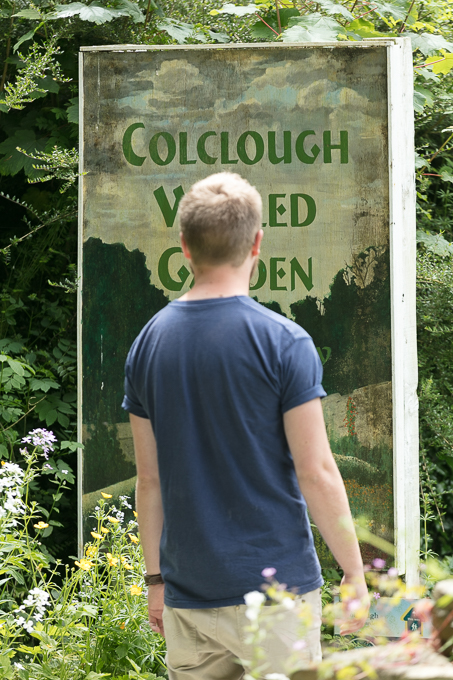 Tintern June 2018 (005)